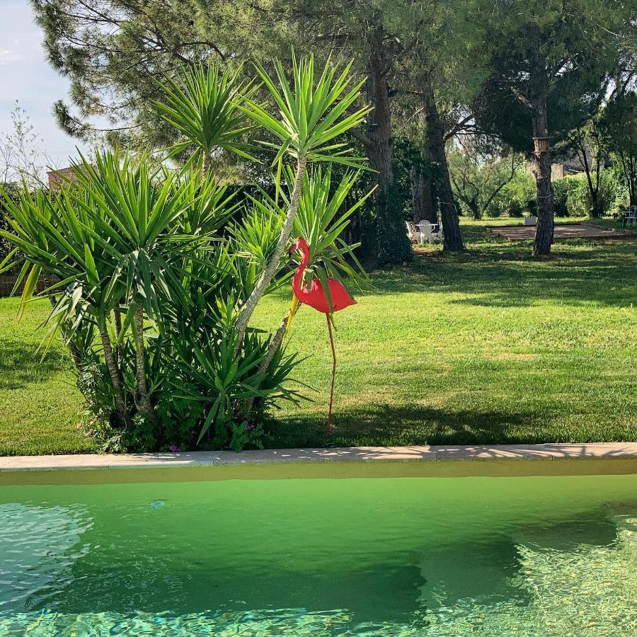 Le Patio, chambres d hôtes pour adultes en Camargue, possibilité de naturisme à la piscine, Aimargues Extérieur photo