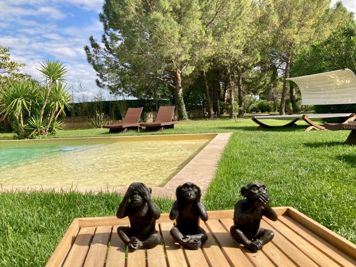 Le Patio, chambres d hôtes pour adultes en Camargue, possibilité de naturisme à la piscine, Aimargues Extérieur photo