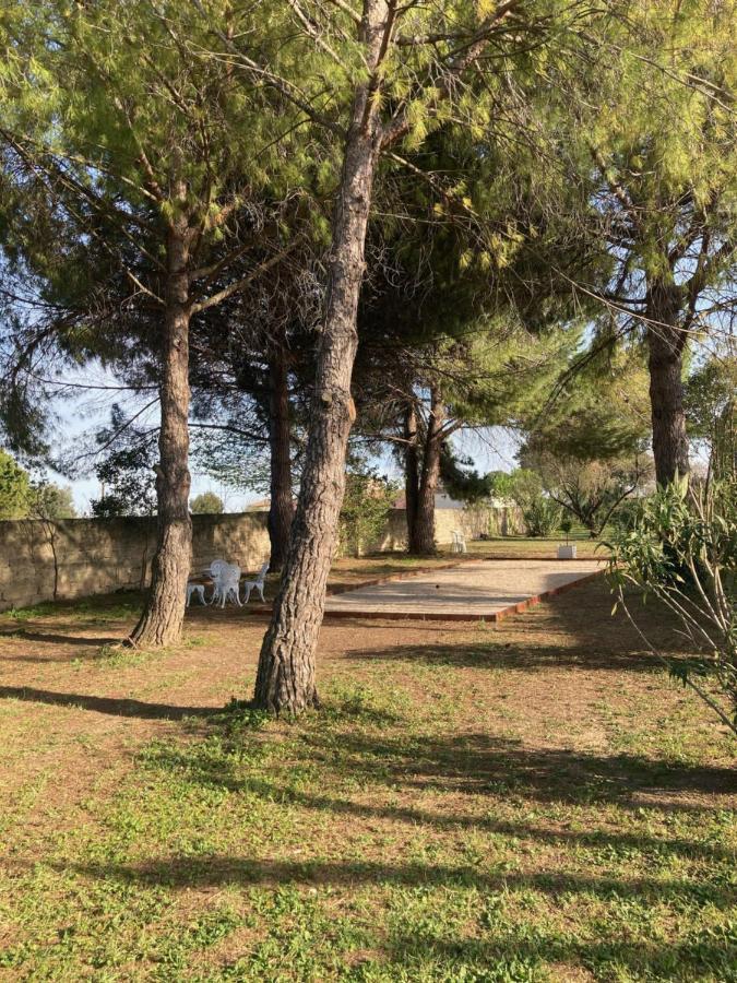 Le Patio, chambres d hôtes pour adultes en Camargue, possibilité de naturisme à la piscine, Aimargues Extérieur photo