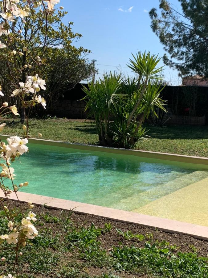 Le Patio, chambres d hôtes pour adultes en Camargue, possibilité de naturisme à la piscine, Aimargues Extérieur photo