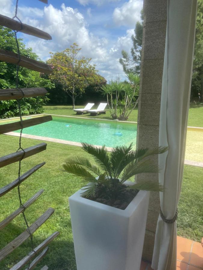 Le Patio, chambres d hôtes pour adultes en Camargue, possibilité de naturisme à la piscine, Aimargues Extérieur photo