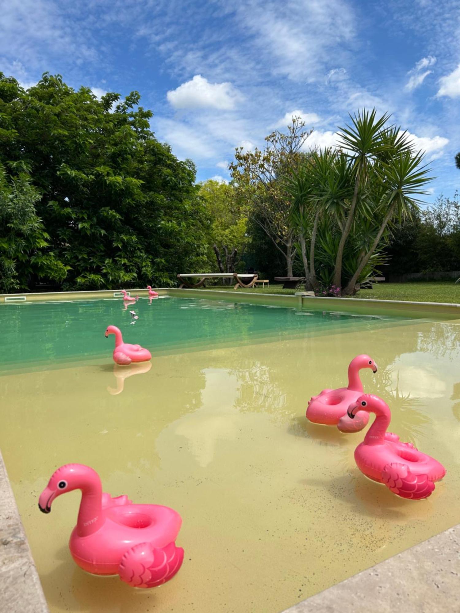 Le Patio, chambres d hôtes pour adultes en Camargue, possibilité de naturisme à la piscine, Aimargues Extérieur photo